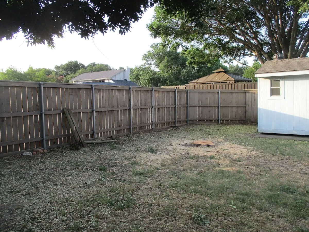 Cleared yard after professional tree removal in Medimont